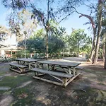 Bosque Sao Jose Ag