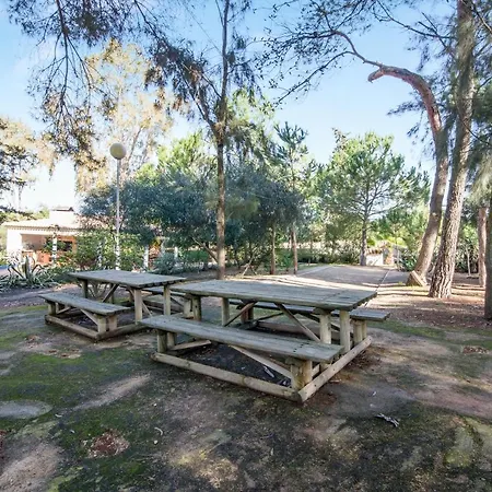Bosque Sao Jose Ag
