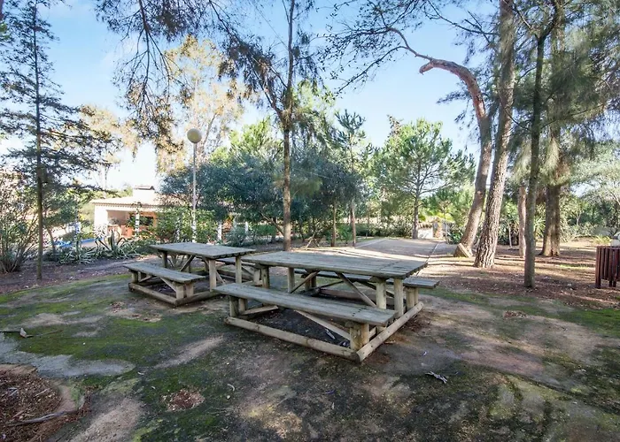 Bosque São José Ag